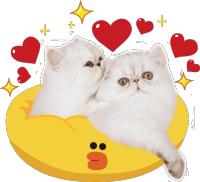 疫情过后小众品牌会怎么样,疫情过后中国品牌怎样发展