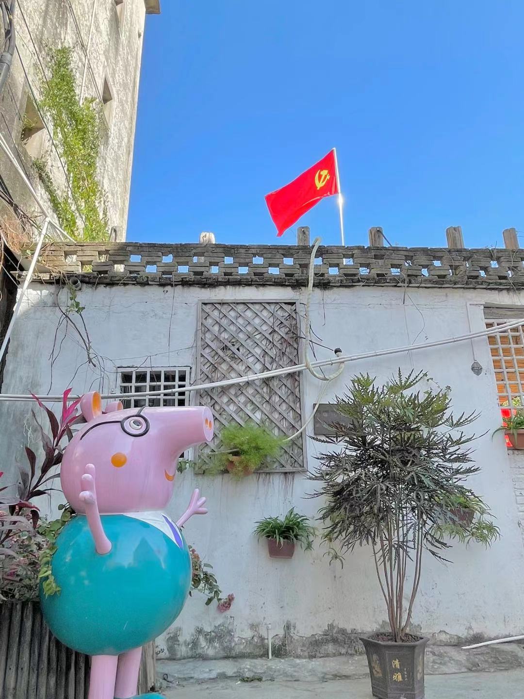 今日深圳龙华旅游攻略,深圳周末龙华去哪玩推荐