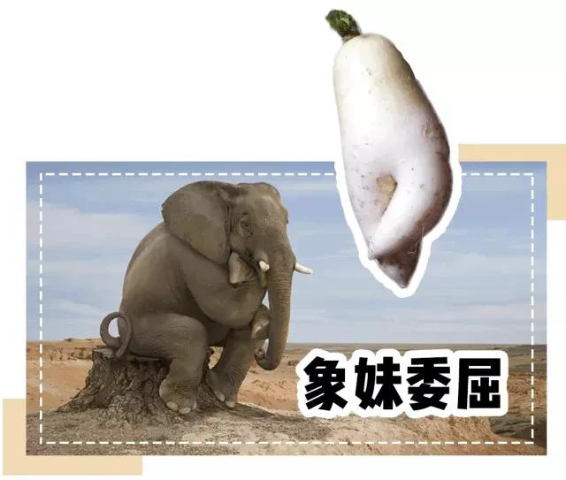 快速瘦腿的有效方法食谱,教你如何快速瘦腿