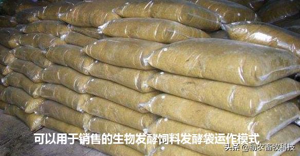 青草发酵饲料喂牛羊怎么发酵,发酵饲料技术配方