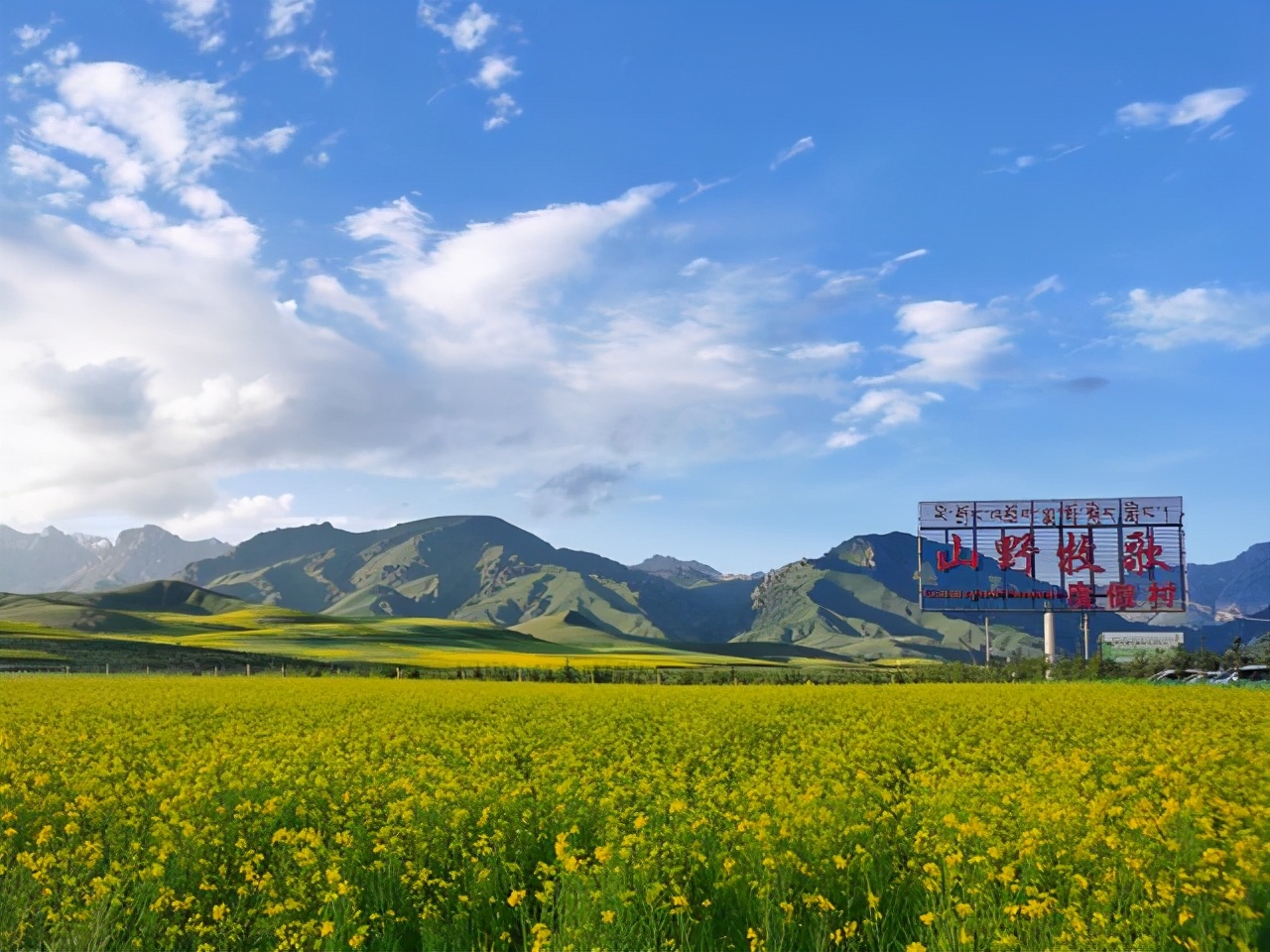 玖月：所念皆星河