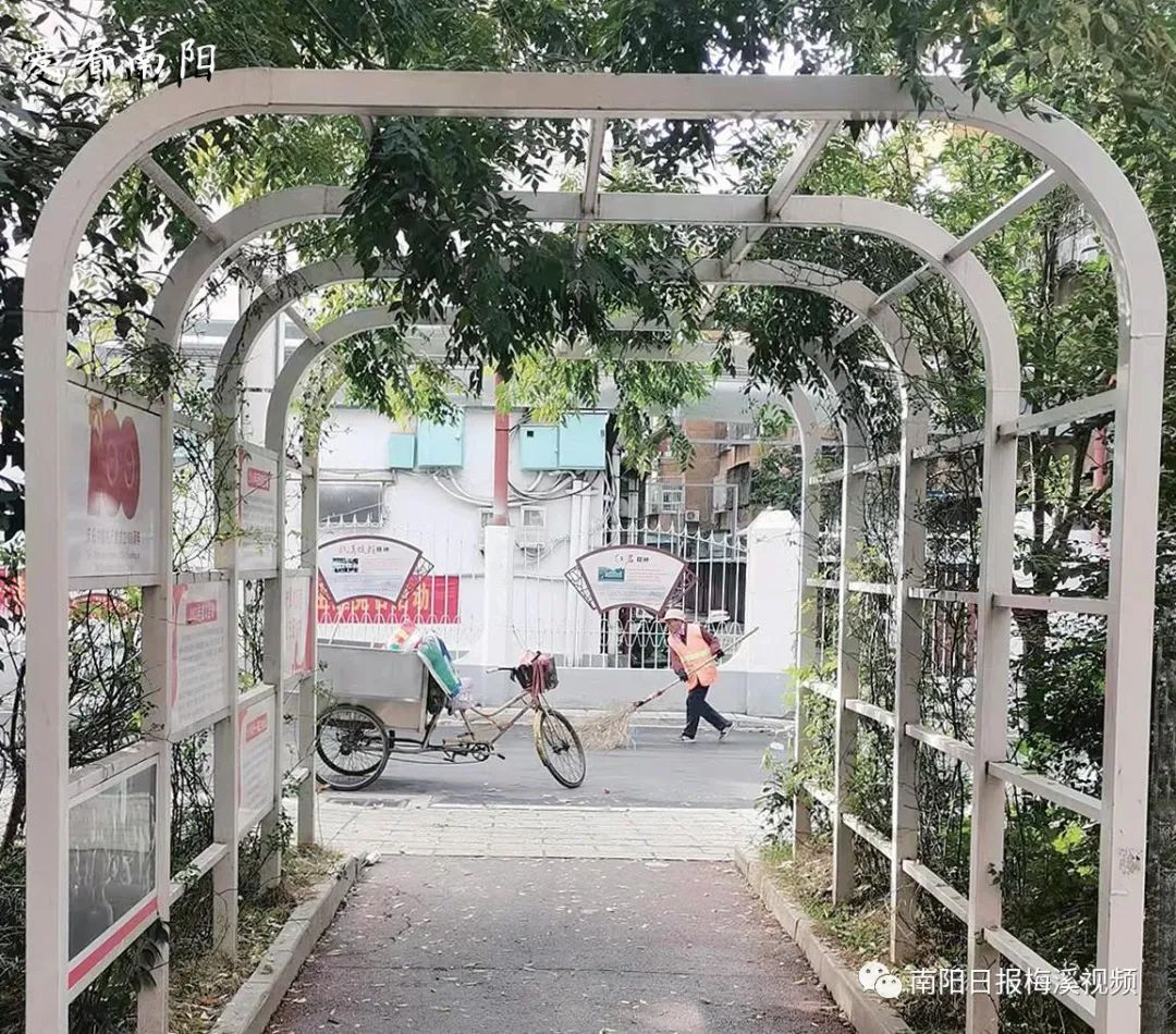 爱看南阳㉘初冬·暖阳依旧