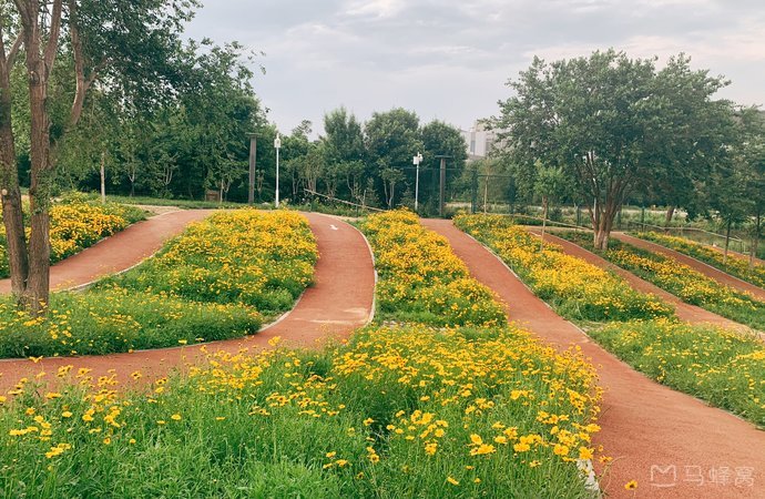 北京——那些让人流连忘返的免费公园