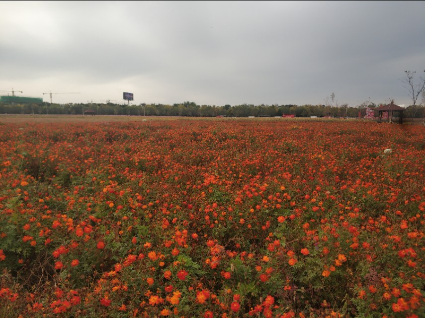 乌鲁木齐八大片区规划图,乌鲁木齐新增的几个区