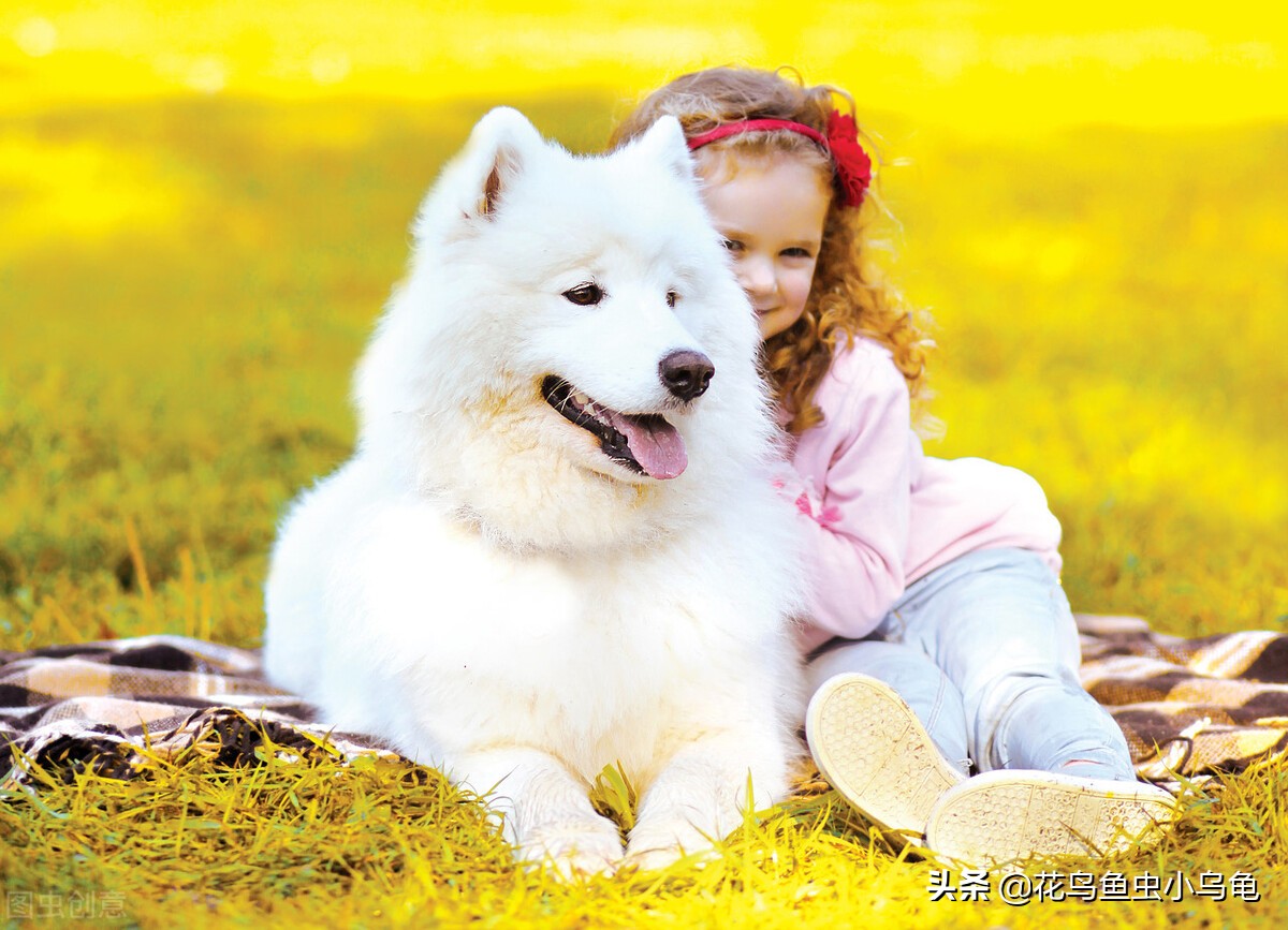 萌巢室内动物园有什么动物,室内游乐场适合养什么动物