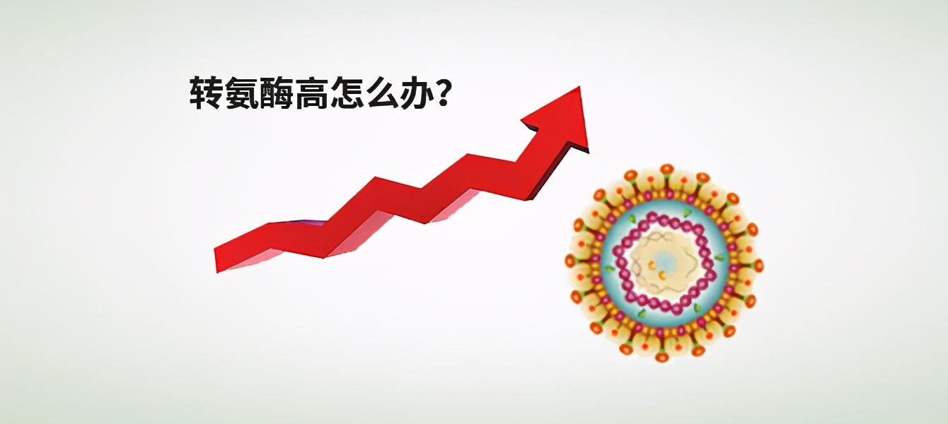 转氨酶升高的原因及解决方法,转氨酶持续升高要怎么治疗