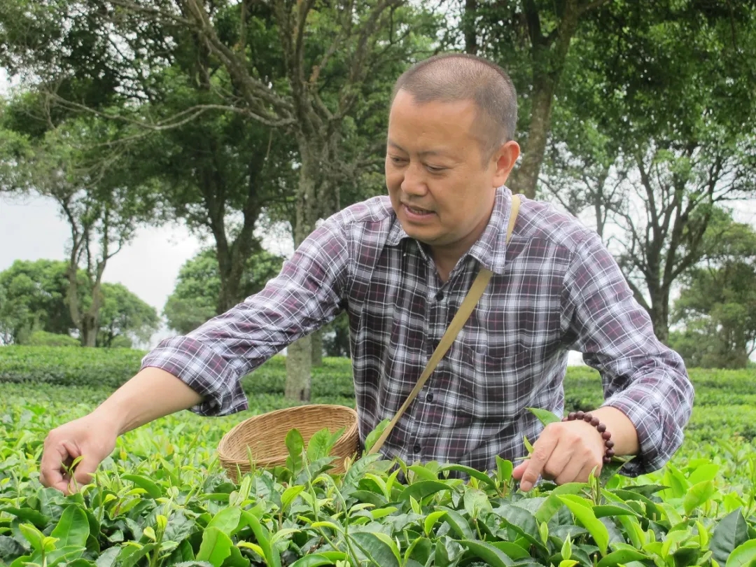 世界重大科技突破,世界科技重大突破