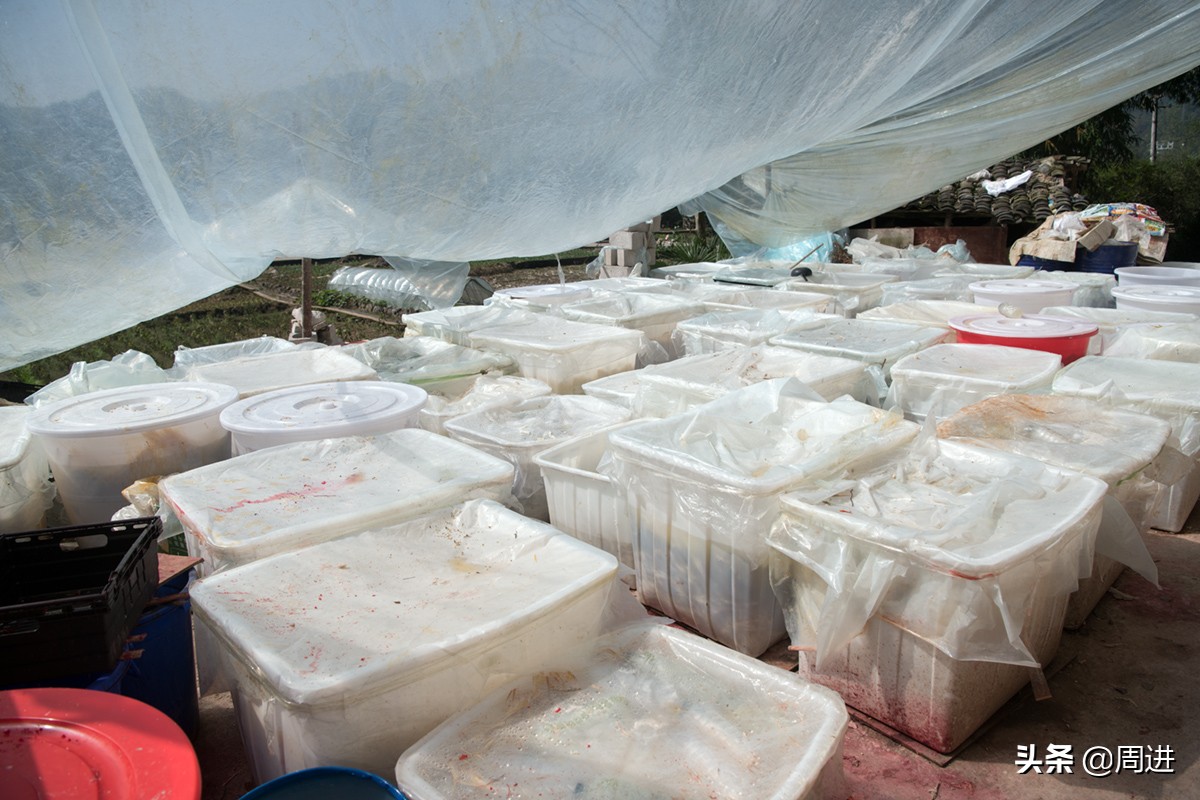 56岁搬运工,农村小伙土特产搬运工