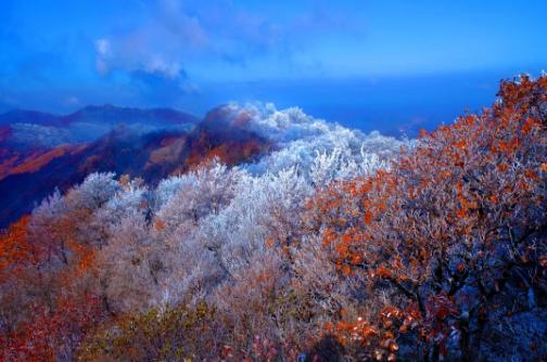 2020抚顺踏青哪里好,抚顺四月赏花推荐去哪
