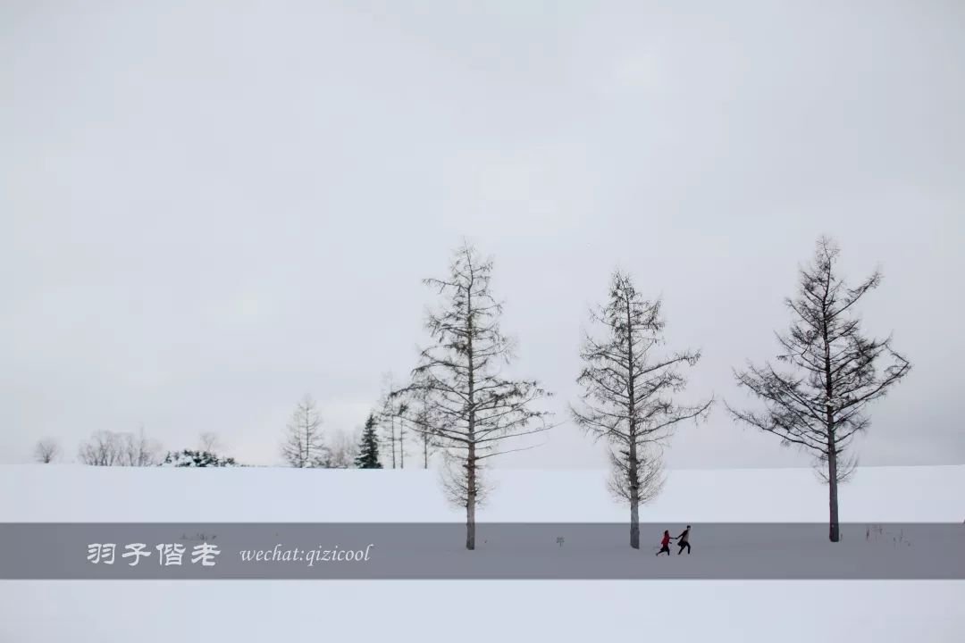 老实说,这一趟北海道就是为了拍好看的照片去的