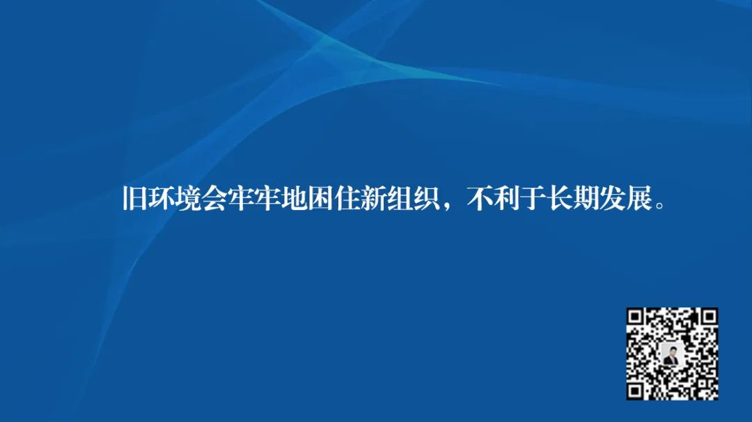分形创新,分形创新的案例