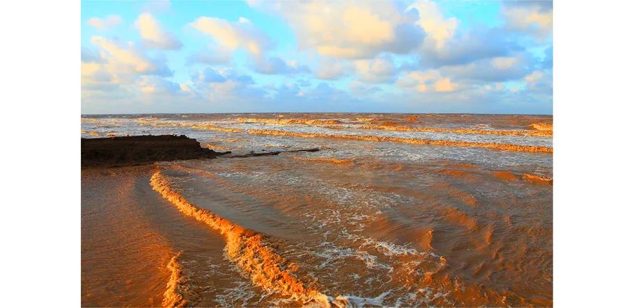 儿童画海洋生物简单画法,4-6岁儿童画海洋颜色