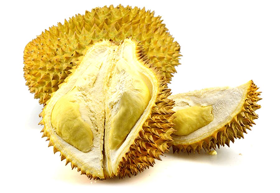 水果简笔画儿童画教程,儿童画水彩笔画教程动物