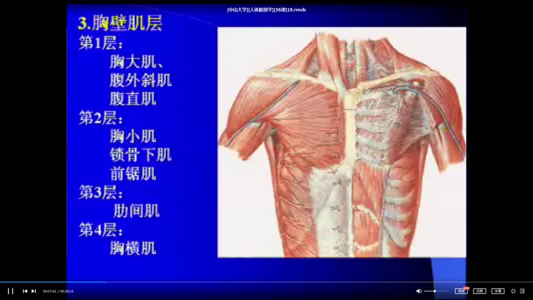 资源分享|这份对解剖学专业很有帮助的中山大学人体解剖学视频