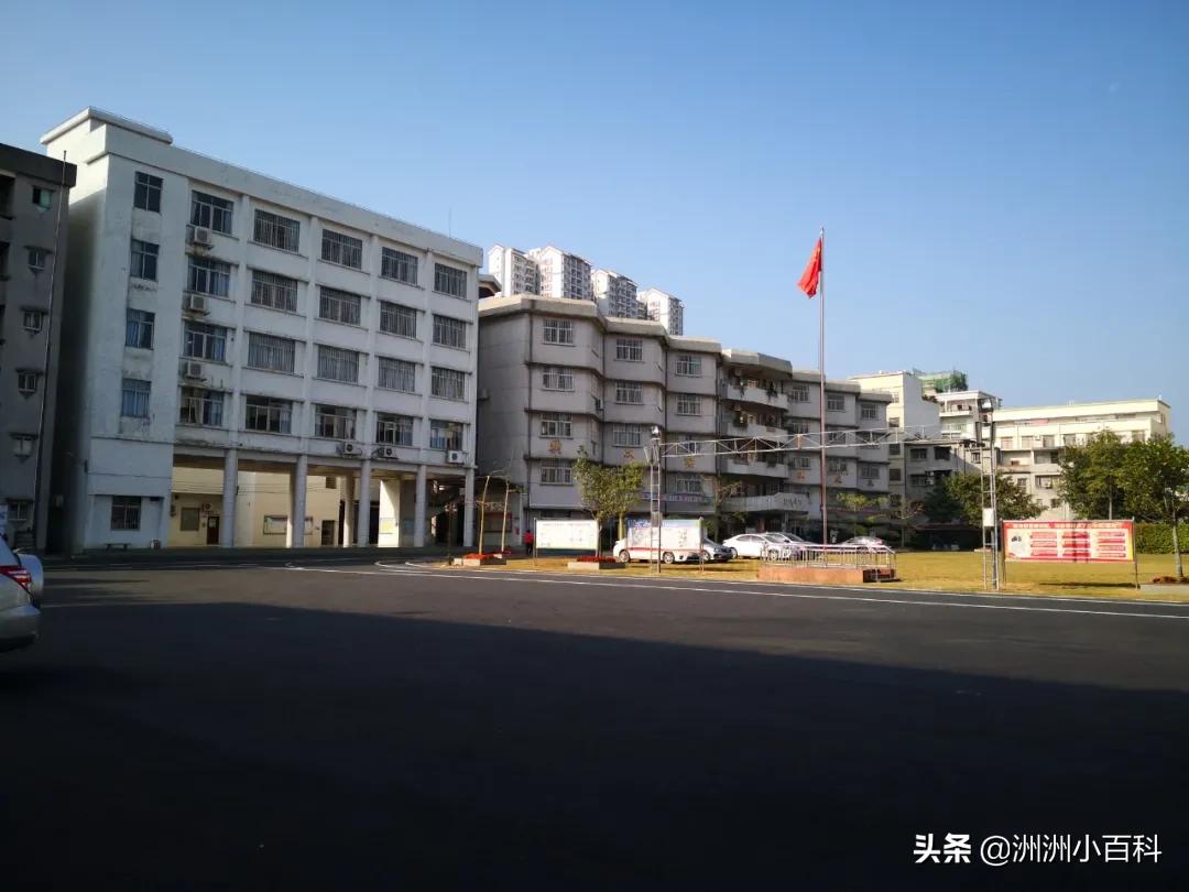 新兴县华侨中学学校介绍,新兴华侨中学历史