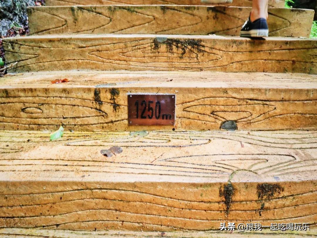 被中外地质学家誉为“地质摇篮”“地学殿堂”原来就在辽宁