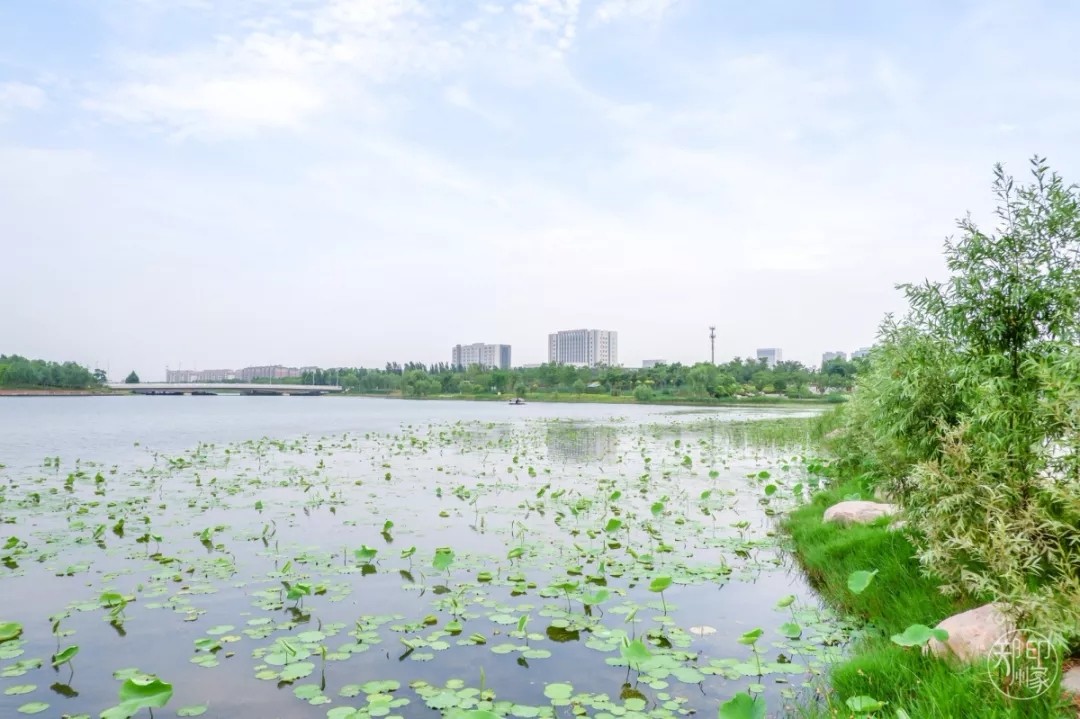 郑州长寿山旅游景点免费开放,郑州只有河南景点免费吗