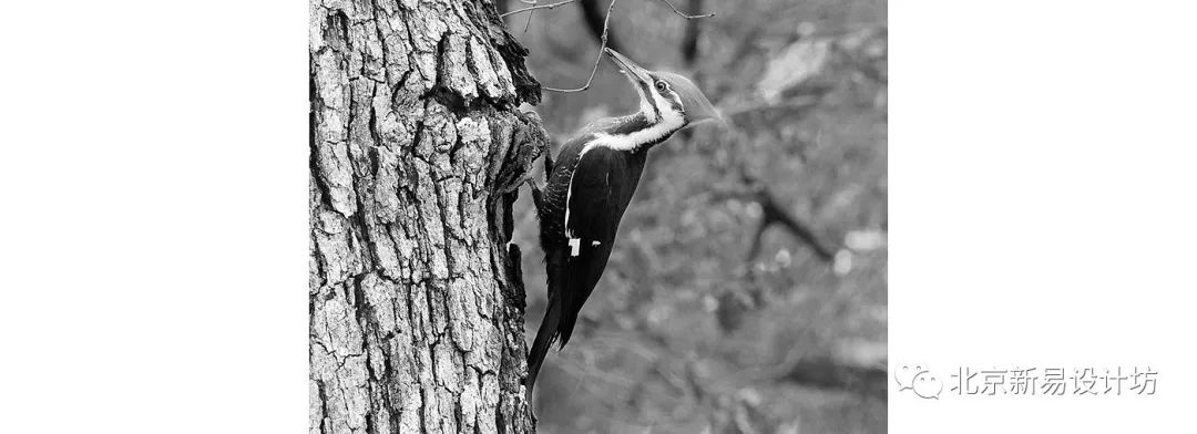 生活好帮手设计,创意衣架设计