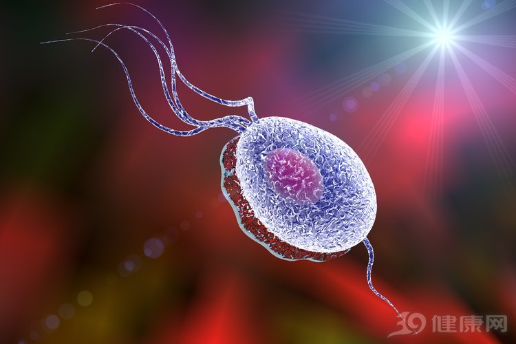 阴道炎一直不好会出现什么症状,阴道炎的常见症状该怎么治疗