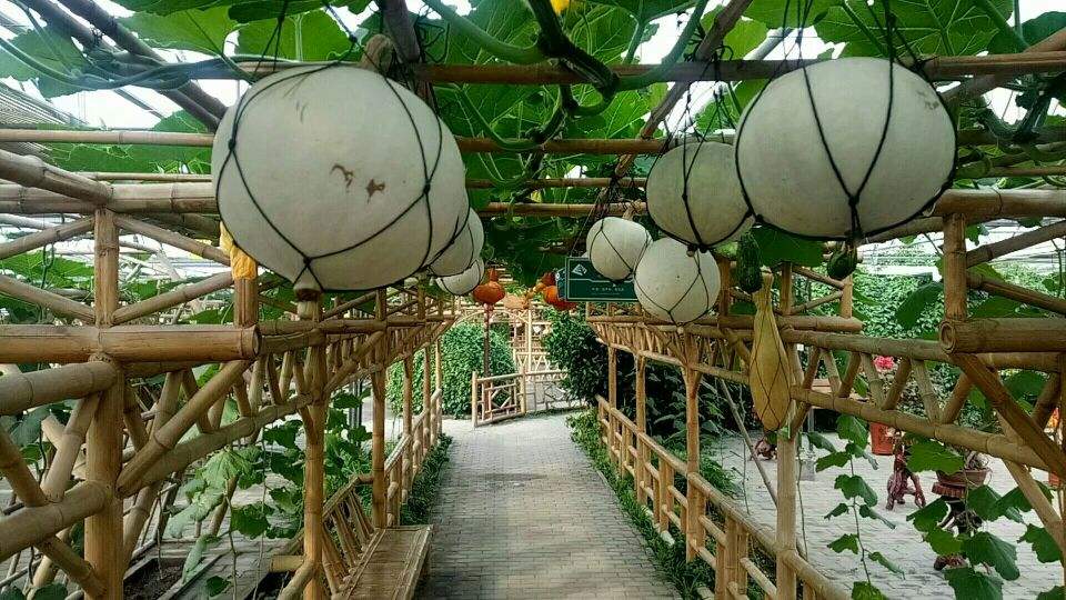 廊坊4A5A景区,廊坊4a级景区名单