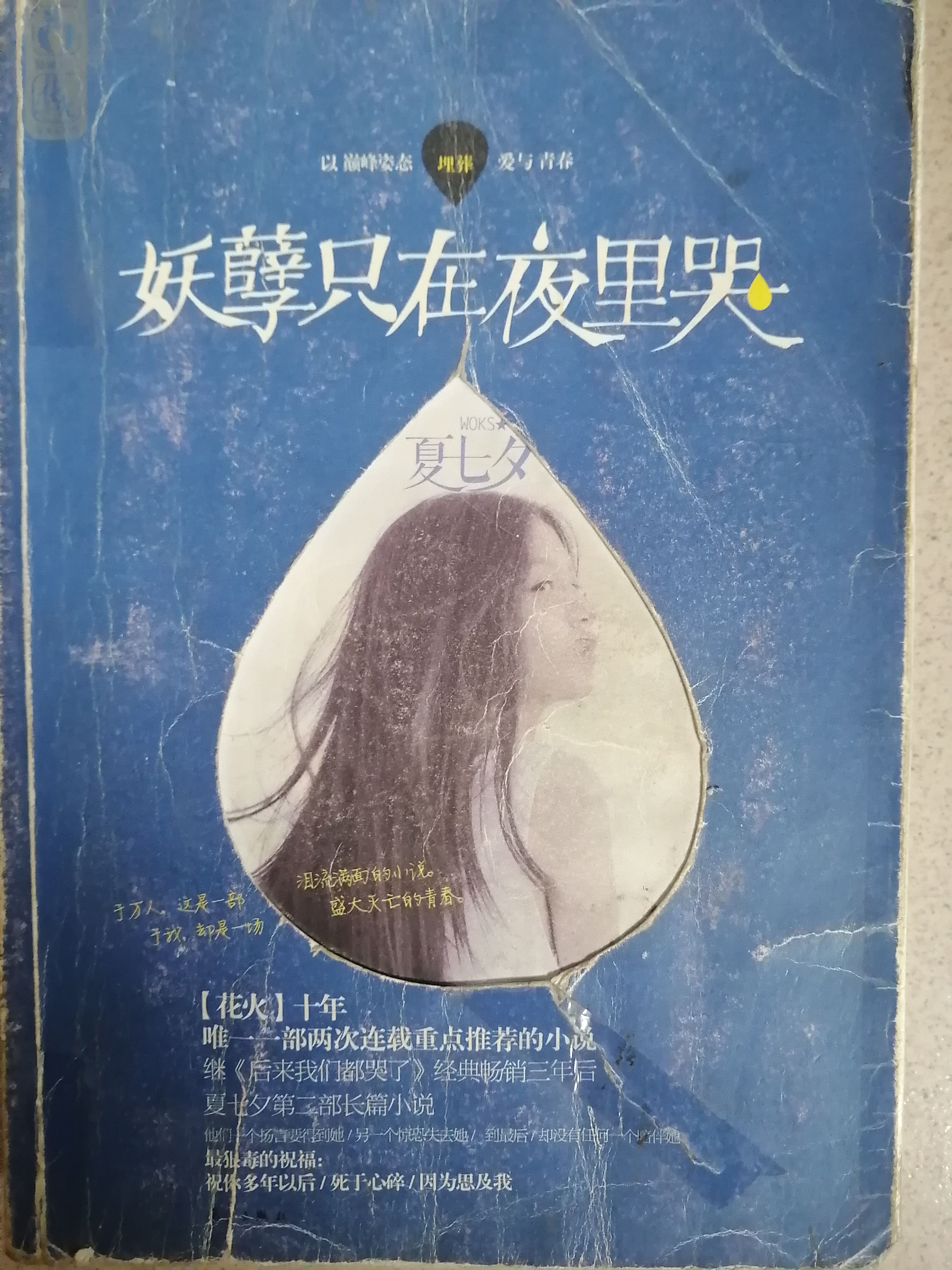 我与玛丽苏文学的那些年——陪伴一代人成长的校园读物2