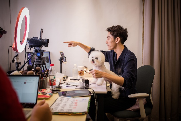 双十一创纪录,双11总结2019