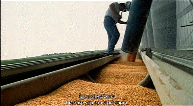 因为一个汉堡，她亲眼看着儿子死去！美国工薪阶层吃的食物有多脏