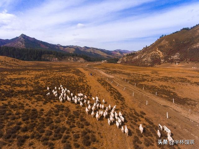 烟雨江湖支线攻略,烟雨江湖历史记录