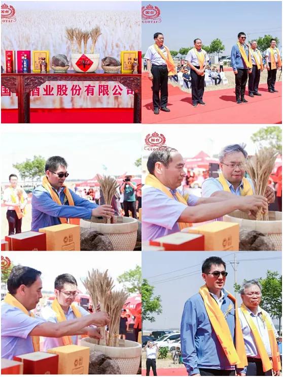 国台凭何领航商业生态?以“聚-合-通””缔结共享共赢的价值纽带