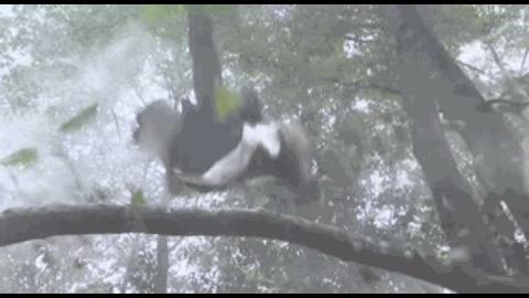 有对比就有伤害是没错,但晚节不保也是真的