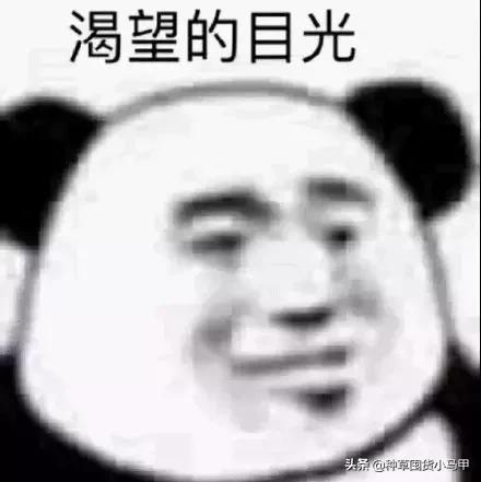售卖假货引众怒,专柜售假