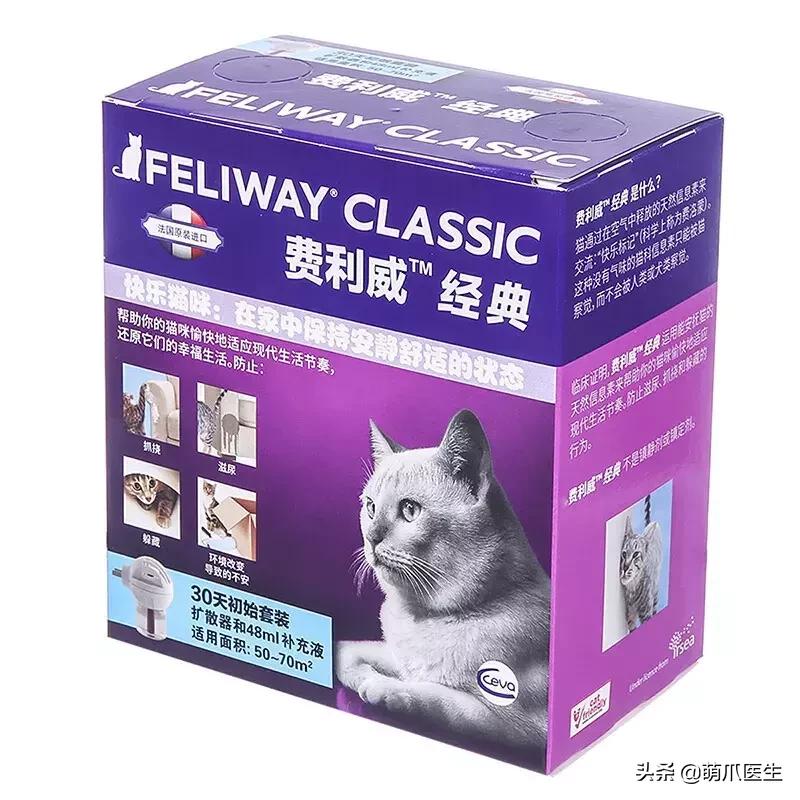 你的猫可能正在抑郁的深渊中挣扎,你家的猫会抑郁症吗