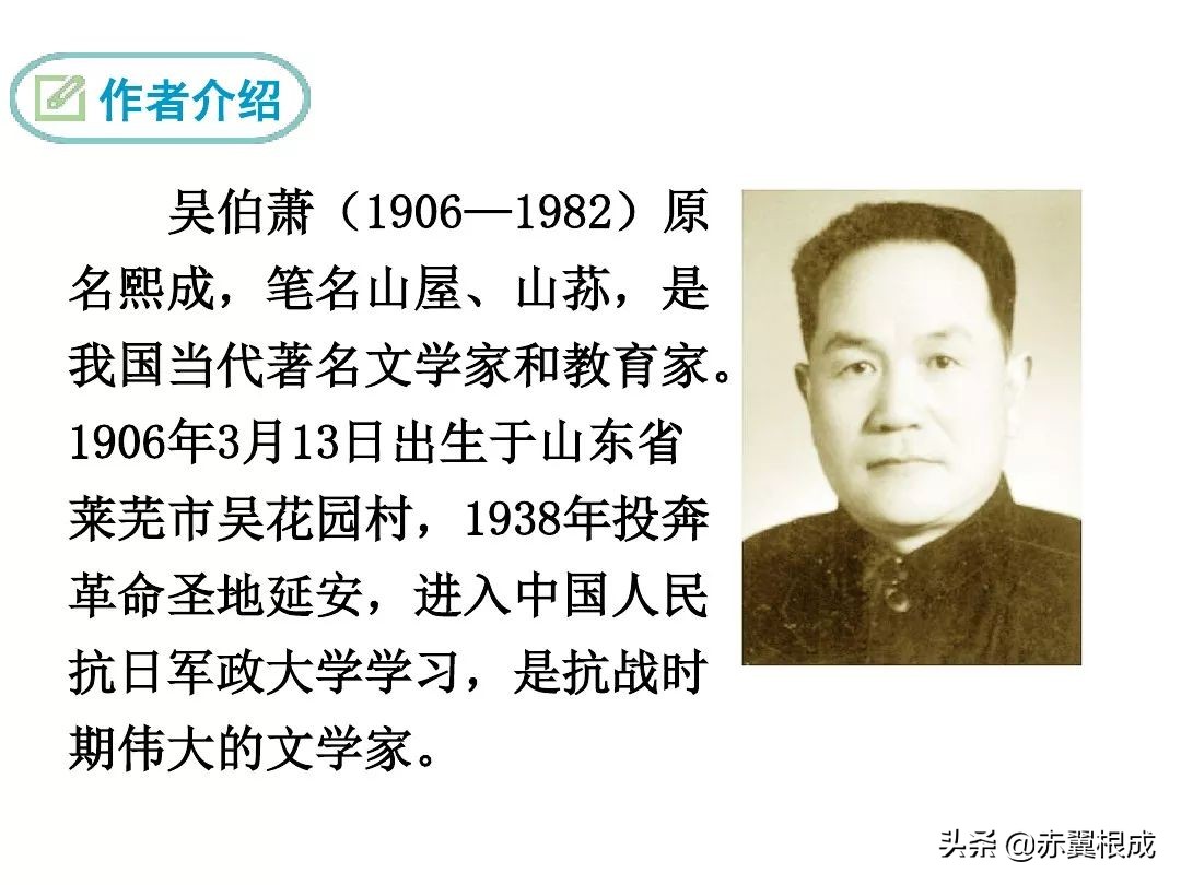 灯笼这一课的预习笔记,八年级下册语文笔记人教版灯笼