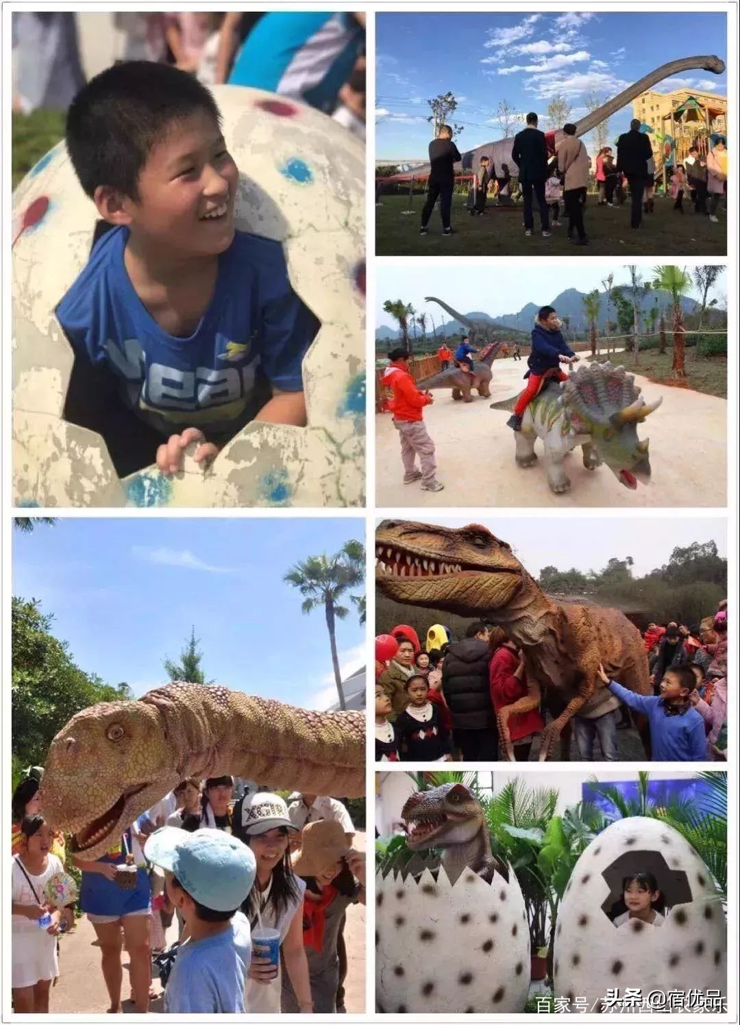 苏州太湖花海主题公园,太湖花海游乐场