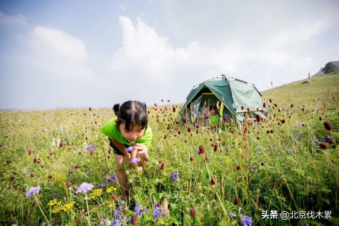 北京中风险区清零,北京中风险地区解除