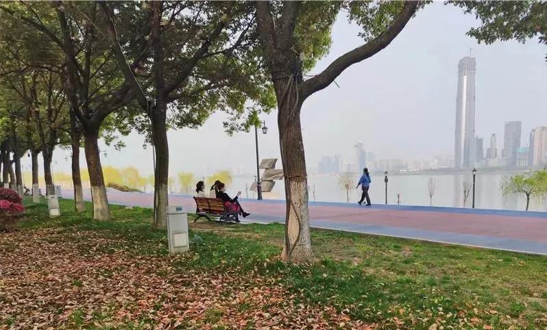 武汉火的一首歌,武汉解封的英文歌