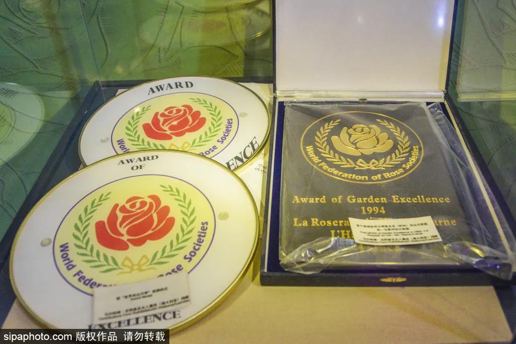 全球最美十大花海美到令人心醉,全球最漂亮花海