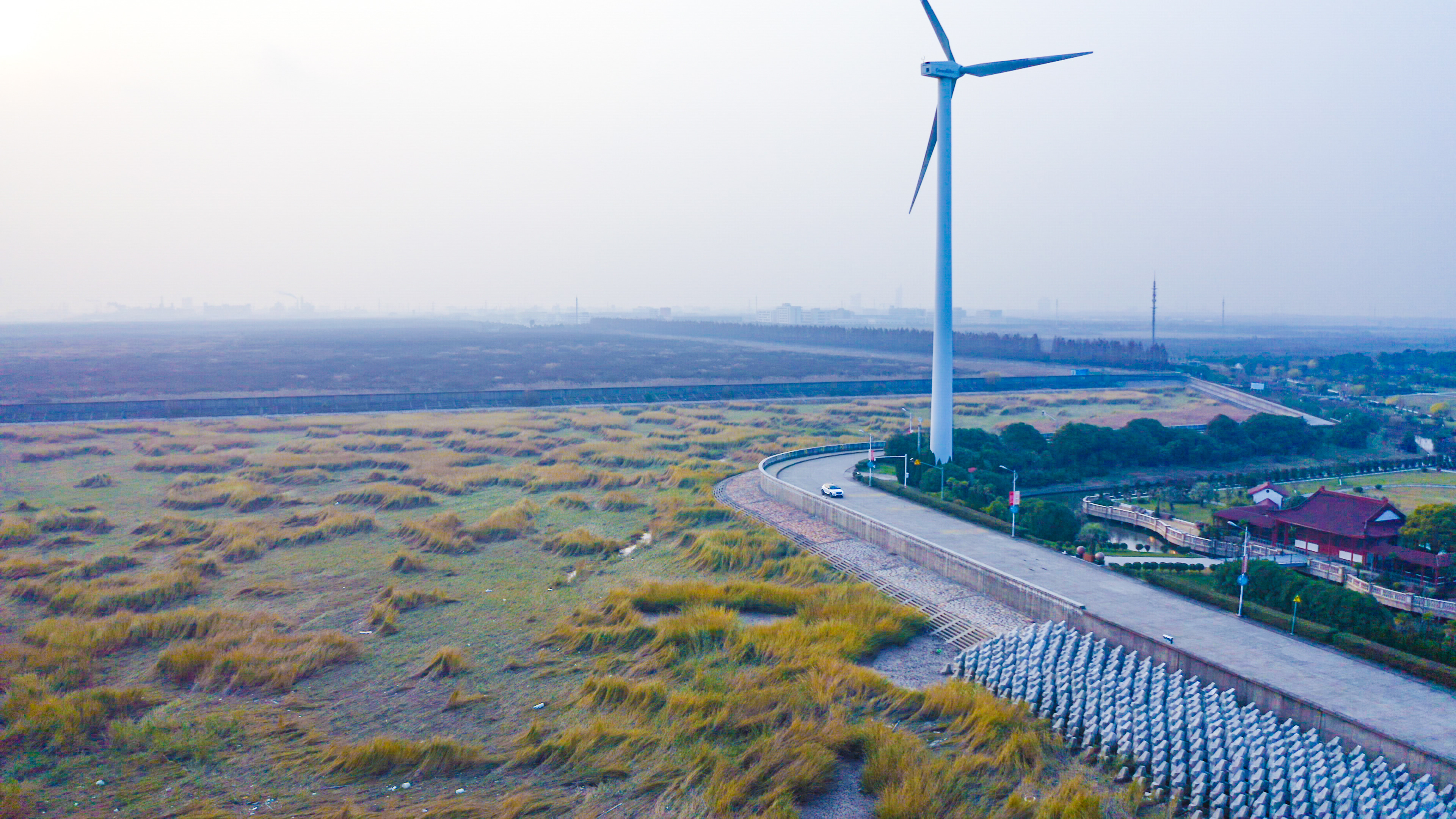 上海岛屿赶海推荐,上海周边吹爆的赶海圣地