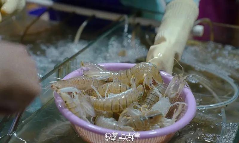 真羡慕住在大城市的人,真羡慕那些住高档小区的人