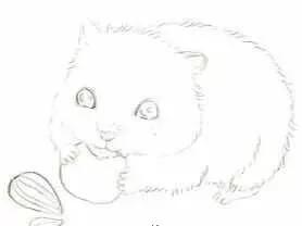 彩铅三只仓鼠图片,小仓鼠彩铅教程