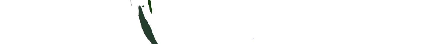 2019武汉大学自主招生,武汉大学自主招生政策