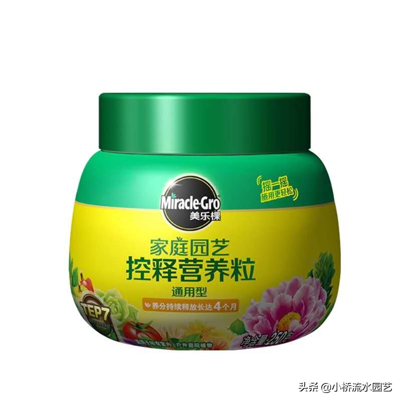 室内养花肥料选择,家庭养花不臭的肥料