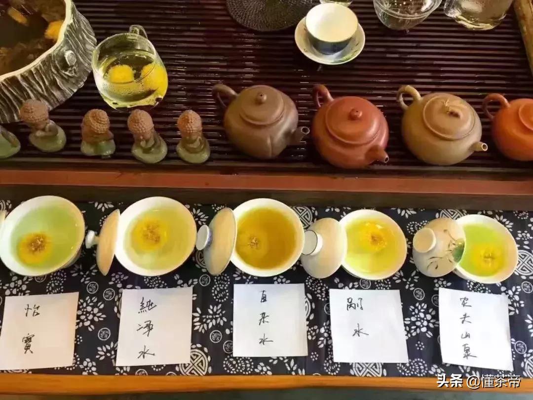 野菊花茶变绿了还能喝吗,菊花茶居然变绿了是不是有毒