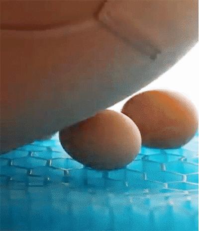 屁股温度38.5要用退烧药吗,臀部冰凉捂热方法