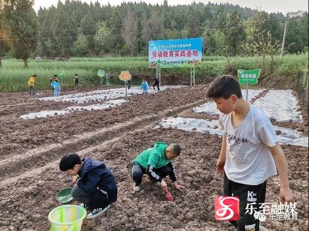 以党建为引领劳动教育,党建引领劳动教育