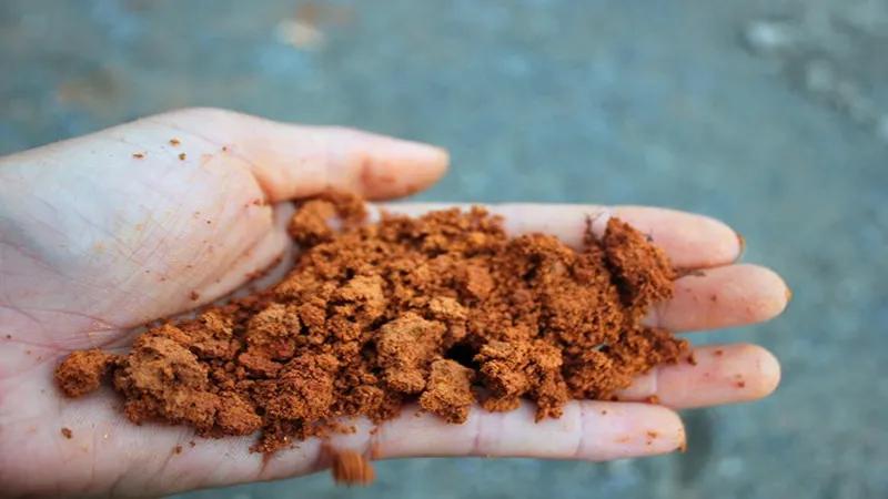 养殖青蛙有哪些模式,养殖青蛙防治病害