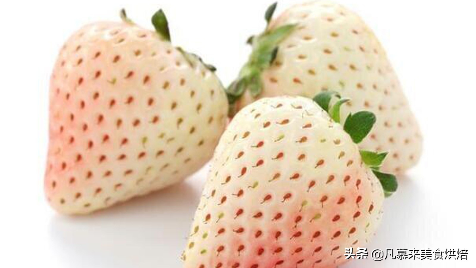 草莓哪个品种最好吃又好种,2018产量最好最大的草莓品种