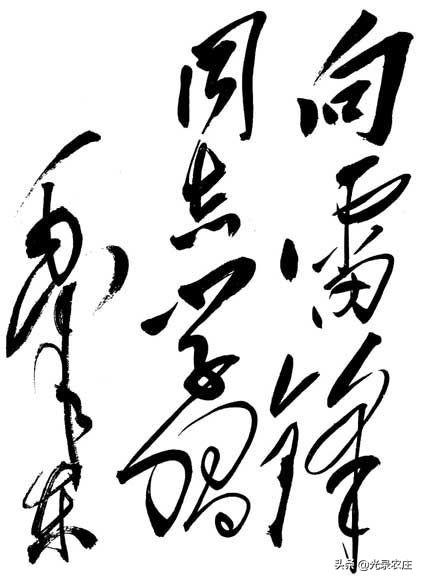 如何使社会变得更美好,如何营造良好的社会风气