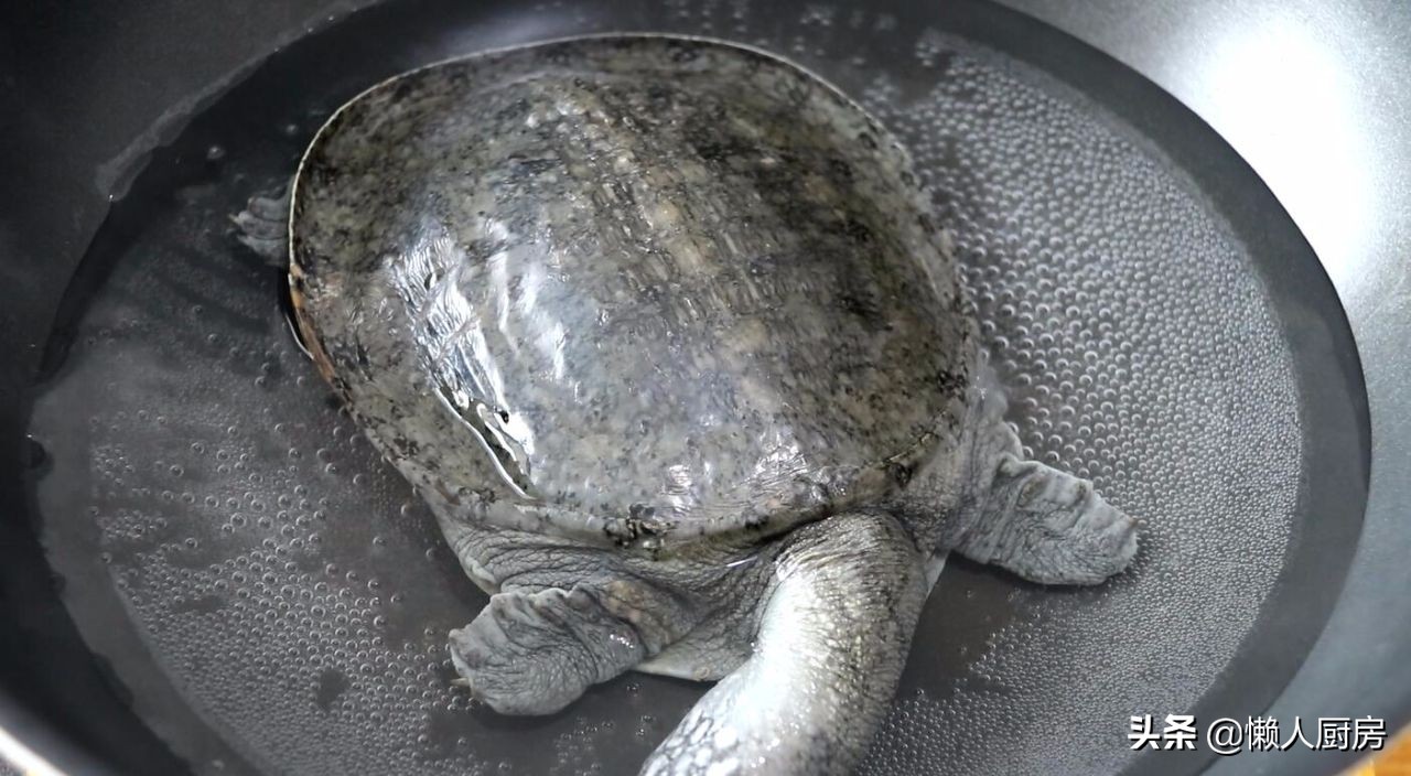 鱼籽不焯水直接炖,煮鱼籽鱼泡要不要先焯水