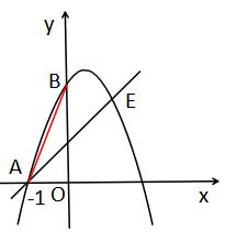 六年级数学图形旋转变换,图形变换中考数学答案